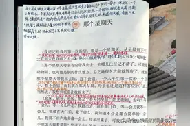 小学语文六年级下册第9课《那个星期天》教师笔记图片