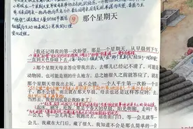小学语文六年级下册第9课《那个星期天》教师笔记图片
