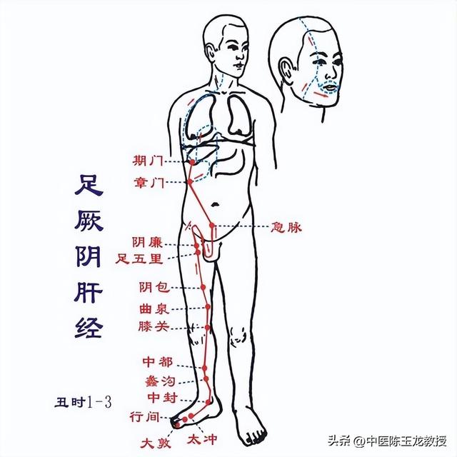 经络不通百病生！老中医分享经络堵塞症状，快来看看你是哪里不通