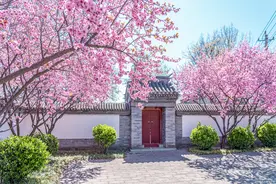 7种“花树”，家有庭院种一棵，美丽又旺家，美好幸福“院景”图片