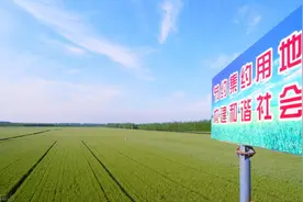 基本农田与耕地不同，别再犯傻不知道了：不能想种什么就种什么图片