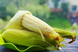 解读粗粮中第一位：玉米图片