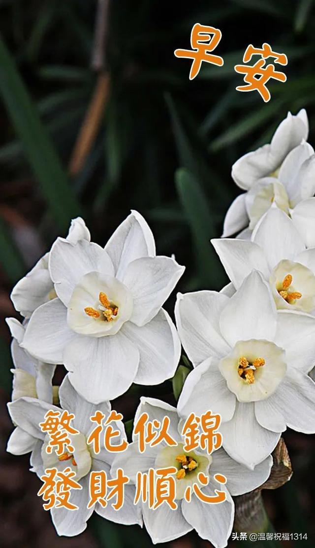 色香双全,三餐必备,四季皆宜,五味兼备,六菜一汤,七蒸八炖,九层营养