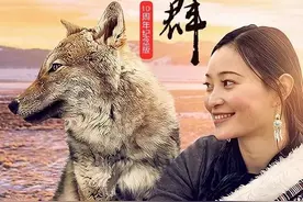 12年前，把狼当儿子带回成都的女孩，10年后“母子”最后一次相认图片