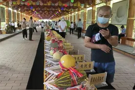 培育+保护 哈密市哈密瓜“家族”成员已有256个图片