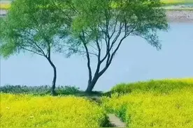 那年，我考上了中专图片