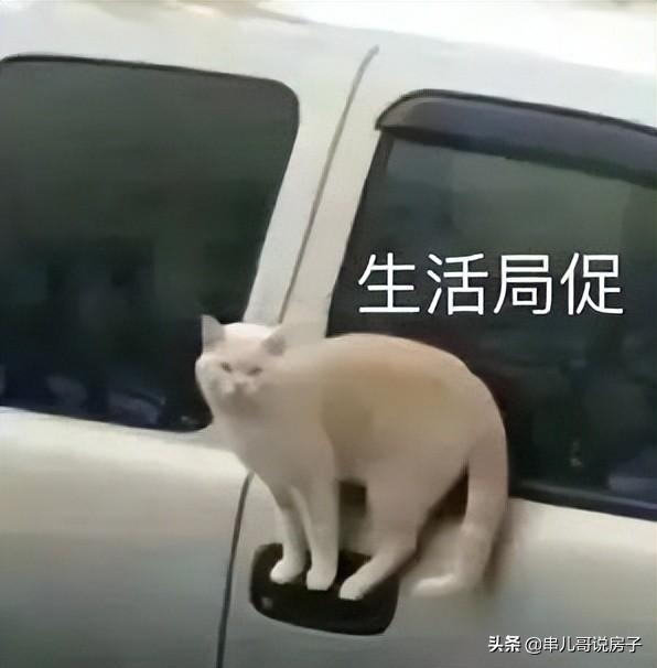 成都新政出台，购房人要调整思路了