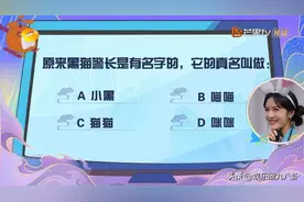 99.3%的人不知道原来黑猫警长的真名叫咪咪图片