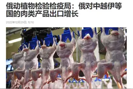 14亿人的胃口，33万吨肉算得了什么？中方的心思，俄方开始搞懂了图片