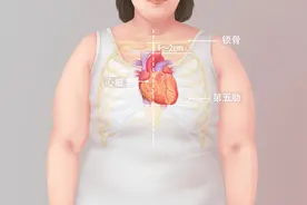 心脏在胸口哪个位置图片