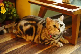 每日一笑，这就是溢出来的爱图片