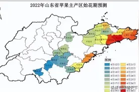 气温猛降12℃以上，苹果花期冻害离我们并不远图片