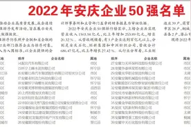 安庆企业50强图片