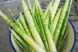清明节到了，农村山上这5种野菜有得吃了，快去采摘来吃，别错过图片