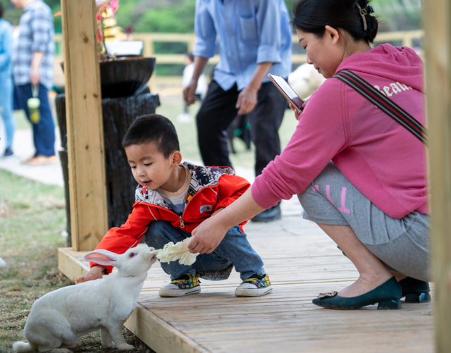 四川省民生研究会新媒体中心-官网