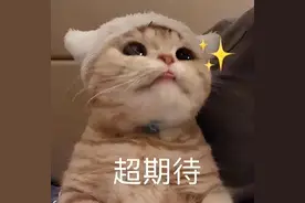 上热搜！微信又出新功能图片