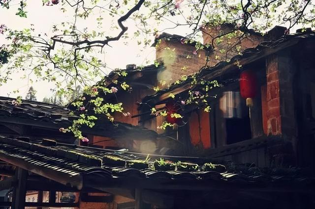 探村三明尤溪｜桂峰古村，福建深山布达拉宫，如仙境文雅秀美