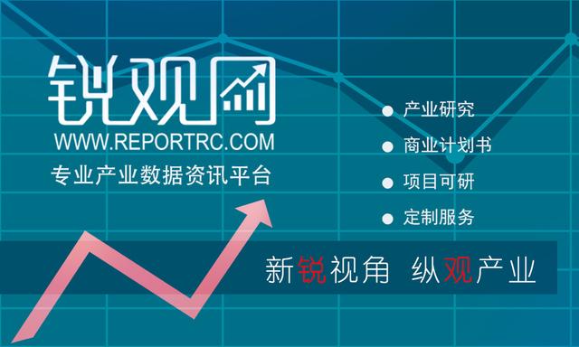 2023-2028年中国公安信息化行业市场全景调查及投资潜力研究报告
