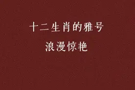 十二生肖雅号 浪漫惊艳图片