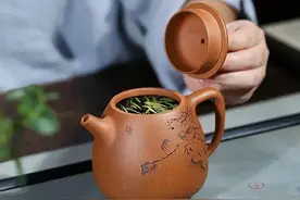 同样是紫砂壶，紫泥、红泥、绿泥、段泥有什么区别？哪一种更好？图片