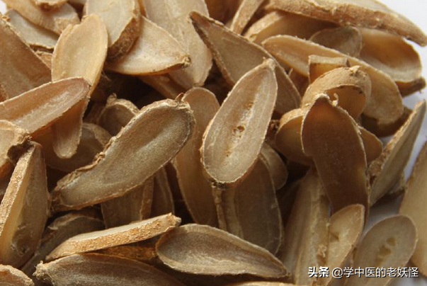 每天学习一味中药——郁金