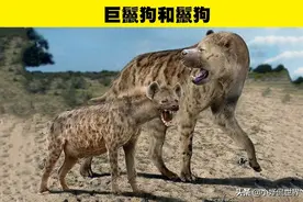 动物冷知识：7个灭绝动物与其现代近亲的直观比较图片