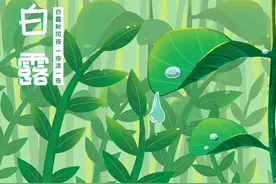 “白露喝5汤，不把医生找”！每天喝一碗，滋补降燥，健康过秋天图片