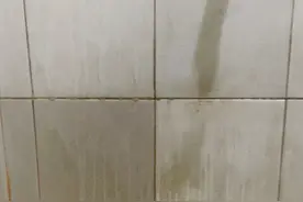 卫生间清洁全攻略！霉斑、水垢、异味等，一文讲清，记得收藏图片