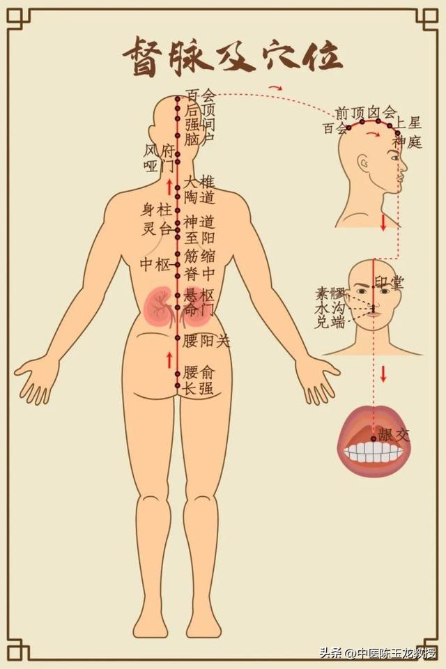 经络不通百病生！老中医分享经络堵塞症状，快来看看你是哪里不通