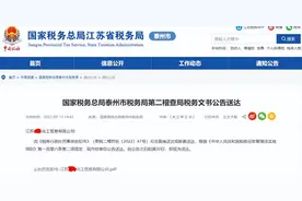 个体户可不是法外之地！21家个体户被查！虚开近1个亿，罚款50万图片