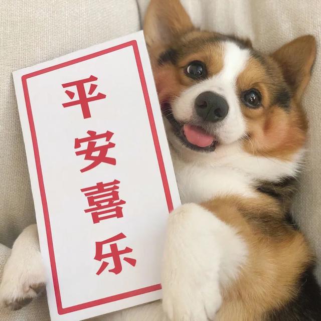 ������Ȧ�Ź����ز� | ����Ȧ����ͼ