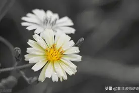 海南省2022届高三学业水平诊断语文试题及答案解析图片