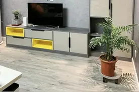 越来越多人开始不要电视柜，选择5种方式代替，全屋不是一般漂亮图片