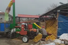 新型玉米脱粒机助力粮食颗粒归仓，抚松县抽水乡农民有了机械“左膀右臂”图片
