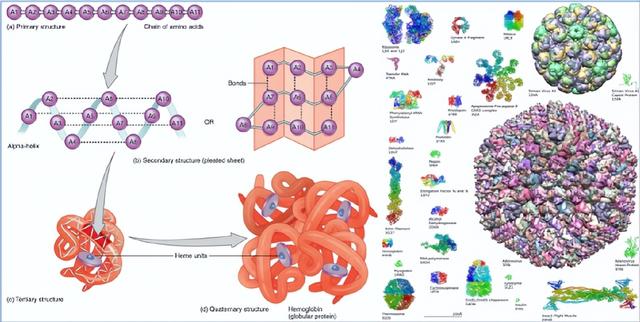 “酶中战斗机”现身，PET塑料遇克星