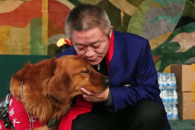 身价20万，导盲犬真的这么贵？