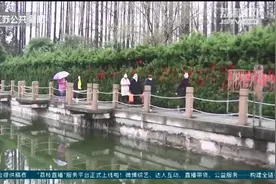 事关清明祭扫 江苏各地出新规图片
