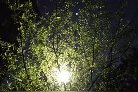 一个人喝酒图片