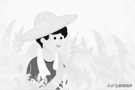 一颗麦粒的成长记图片