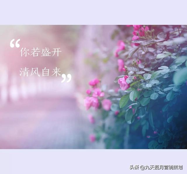 营销复盘Day28:细数近十年医疗行业常使用的4种营销活动