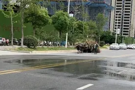 人民日报转载，幸福生活让一头牛和大爷大妈复现了图片