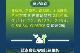 即日起，小猫小狗可以坐高铁啦！图片