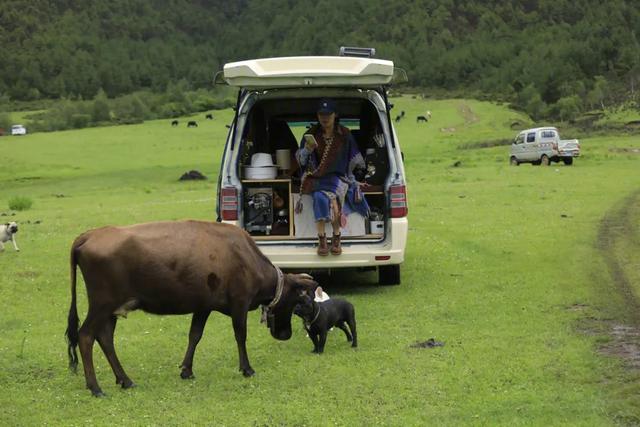 再聊全新哈弗H5即将来袭,长城汽车扭转乾坤还是一蹶不振?