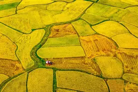 美图：劳动之歌——那些令人难忘的最美瞬间图片