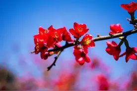 相遇一场，深爱一生，做不成夫妻，就放在心里图片