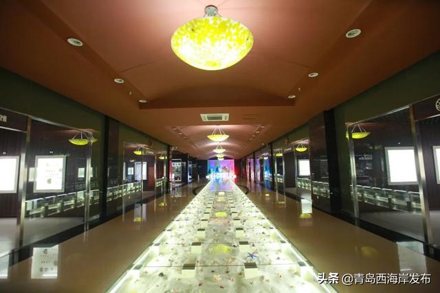 “五一”假期畅游西海岸，这份指南请查收！