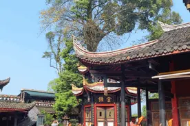 这是哪座神仙寺院，居然塞得下春色满园图片
