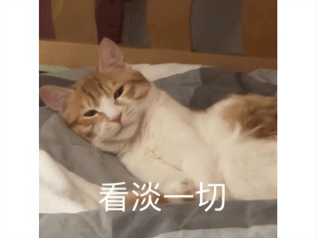 魔兽史上最大冤案？暴雪两度封号，把一代“贼神”给逼上绝路