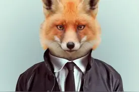 如果给狐狸千年进化，他们竟然能比人聪明？图片