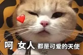 分享一些夸奖女孩子的表情包图片